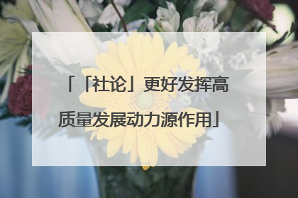 「社论」更好发挥高质量发展动力源作用