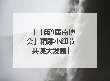 「第9届南博会」精雕小细节共谋大发展