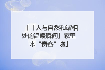 「人与自然和谐相处的温暖瞬间」家里来“贵客”啦