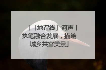 「地评线」河声丨执笔融合发展，描绘城乡共富美景