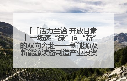 「活力兰洽 开放甘肃」一场逐“绿”向“新”的双向奔赴——新能源及新能源装备制造产业投资发展对接活动扫描