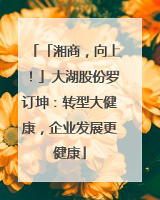 「湘商，向上！」大湖股份罗订坤：转型大健康，企业发展更健康