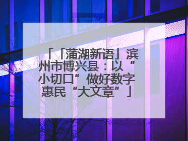 「蒲湖新语」滨州市博兴县：以“小切口”做好数字惠民“大文章”