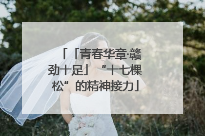 「青春华章·赣劲十足」“十七棵松”的精神接力