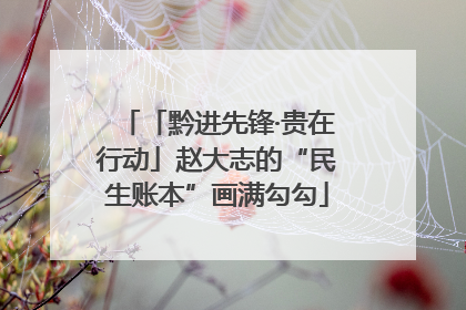 「黔进先锋·贵在行动」赵大志的“民生账本”画满勾勾
