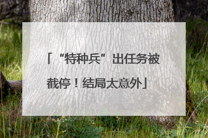 “特种兵”出任务被截停！结局太意外