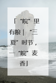 “皖”里有粮｜“三夏”时节，一“皖”麦香