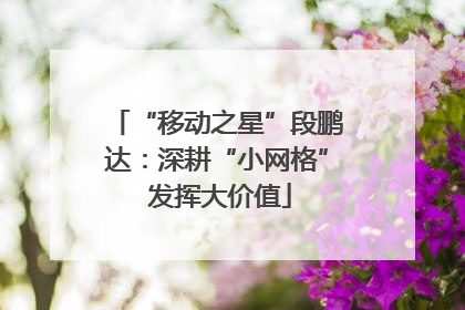 “移动之星”段鹏达：深耕“小网格” 发挥大价值