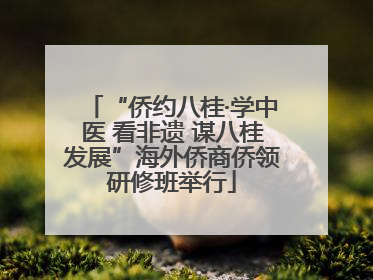 “侨约八桂·学中医 看非遗 谋八桂发展”海外侨商侨领研修班举行