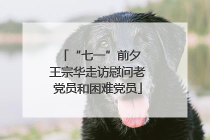 “七一”前夕 王宗华走访慰问老党员和困难党员