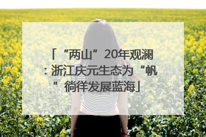 “两山”20年观澜：浙江庆元生态为“帆”徜徉发展蓝海