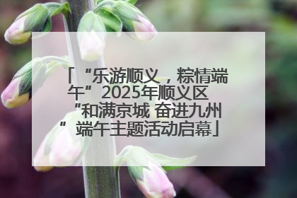 “乐游顺义，粽情端午”2025年顺义区“和满京城 奋进九州”端午主题活动启幕