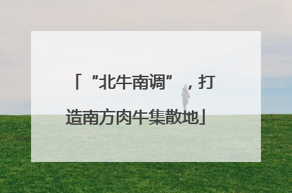 “北牛南调”，打造南方肉牛集散地