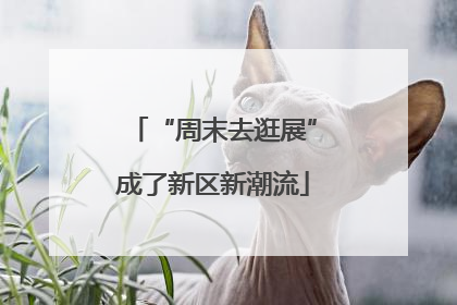 “周末去逛展”成了新区新潮流