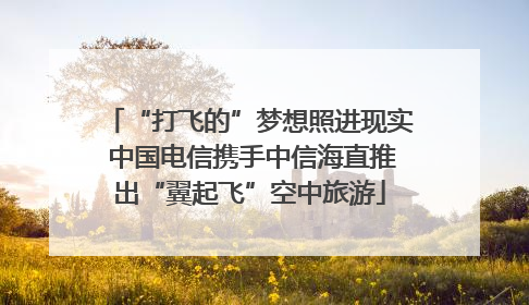 “打飞的”梦想照进现实 中国电信携手中信海直推出“翼起飞”空中旅游