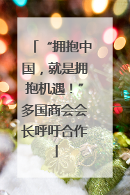 “拥抱中国，就是拥抱机遇！”多国商会会长呼吁合作