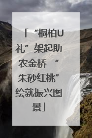 “桐柏U礼”架起助农金桥 “朱砂红桃”绘就振兴图景