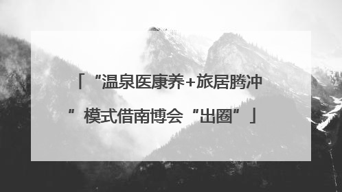 “温泉医康养+旅居腾冲”模式借南博会“出圈”