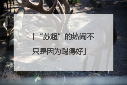 “苏超”的热闹不只是因为踢得好