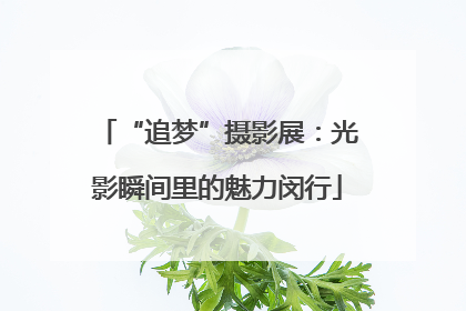 “追梦”摄影展：光影瞬间里的魅力闵行
