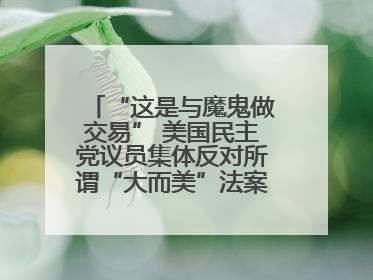 “这是与魔鬼做交易” 美国民主党议员集体反对所谓“大而美”法案！四名共和党众议员投反对票