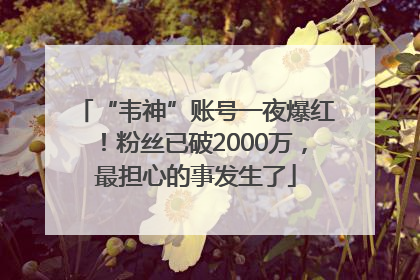 “韦神”账号一夜爆红！粉丝已破2000万，最担心的事发生了
