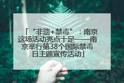 “非遗+禁毒”：南京这场活动亮点十足——南京举行第38个国际禁毒日主题宣传活动