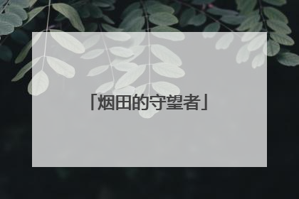 烟田的守望者