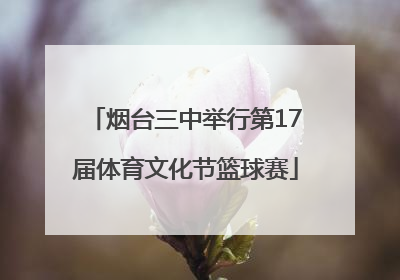 烟台三中举行第17届体育文化节篮球赛