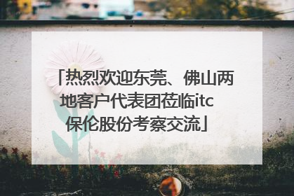 热烈欢迎东莞、佛山两地客户代表团莅临itc保伦股份考察交流