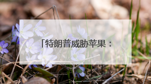 特朗普威胁苹果：不在美制造，就缴至少25%关税