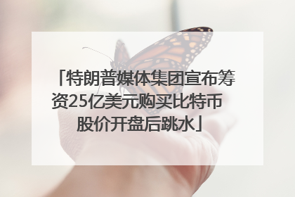 特朗普媒体集团宣布筹资25亿美元购买比特币 股价开盘后跳水