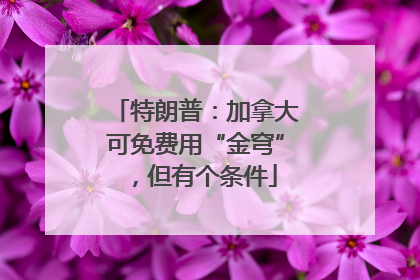 特朗普：加拿大可免费用“金穹”，但有个条件
