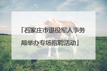 石家庄市退役军人事务局举办专场招聘活动