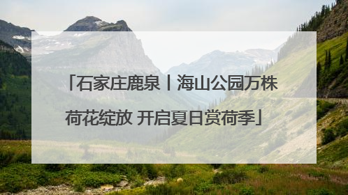 石家庄鹿泉丨海山公园万株荷花绽放 开启夏日赏荷季