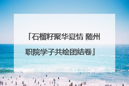 石榴籽聚华夏情 随州职院学子共绘团结卷