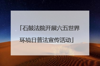 石鼓法院开展六五世界环境日普法宣传活动