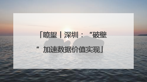 瞭望丨深圳：“破壁”加速数据价值实现