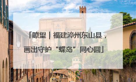 瞭望｜福建漳州东山县，画出守护“蝶岛”同心圆