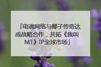 电魂网络与椰子传奇达成战略合作，共拓《我叫MT》IP全球市场