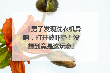 男子发现洗衣机异响，打开被吓晕！没想到竟是这玩意