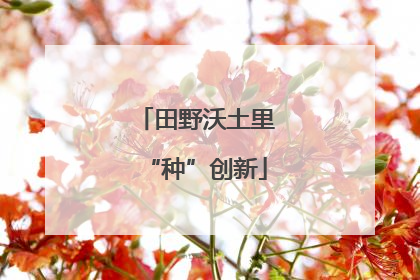 田野沃土里“种”创新