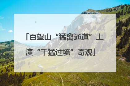 百望山“猛禽通道”上演“千猛过境”奇观
