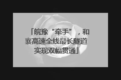 皖豫“牵手”，和襄高速全线最长隧道实现双幅贯通