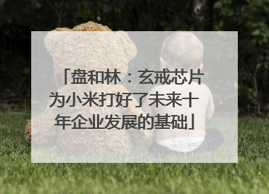 盘和林：玄戒芯片为小米打好了未来十年企业发展的基础