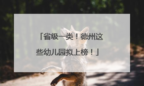 省级一类！德州这些幼儿园拟上榜！