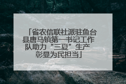 省农信联社派驻鱼台县唐马镇第一书记工作队助力“三夏”生产 彰显为民担当