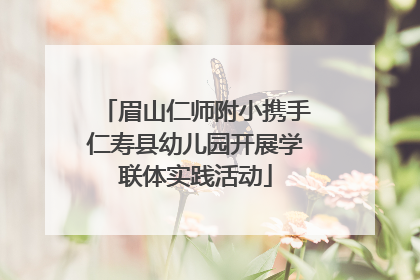 眉山仁师附小携手仁寿县幼儿园开展学联体实践活动