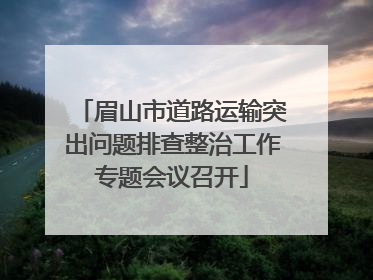 眉山市道路运输突出问题排查整治工作专题会议召开