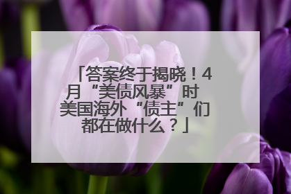 答案终于揭晓！4月“美债风暴”时 美国海外“债主”们都在做什么？